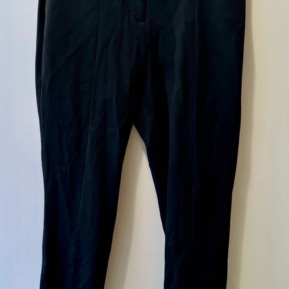 Express Black Ankle Cropped Pants
